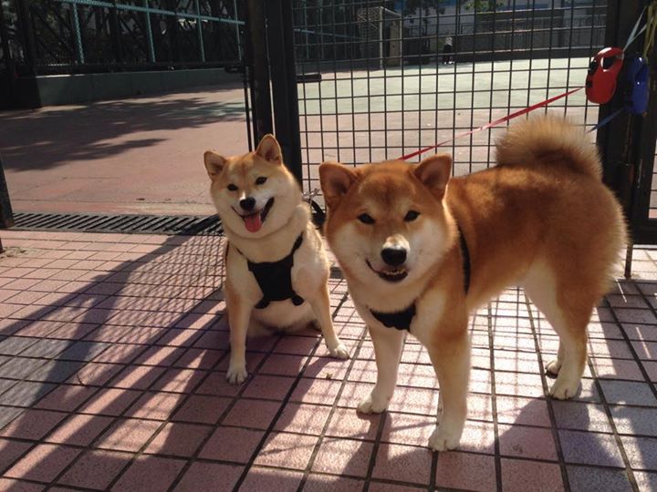 九游电竞中心-《2025英雄联盟全球总决赛，小组赛火爆开启》，2050年英雄联盟总决赛