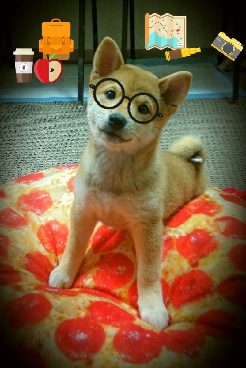 《王者荣耀全球巡演,精彩对抗再度升级》,王者荣耀年度盛典视频