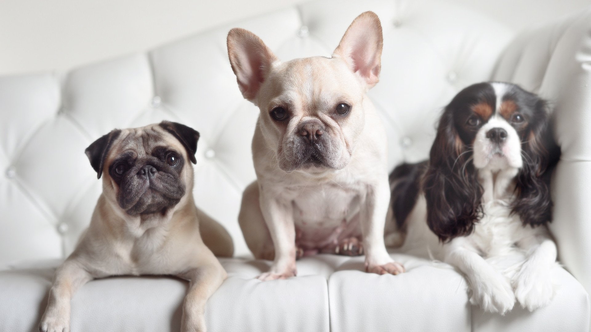 全国青少年“绿色运动节”拉开帷幕，倡导环保与体育同发展，绿色运动会