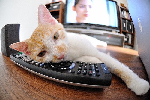 全景追踪：每个弯道背后的艰难挑战，全景示意图