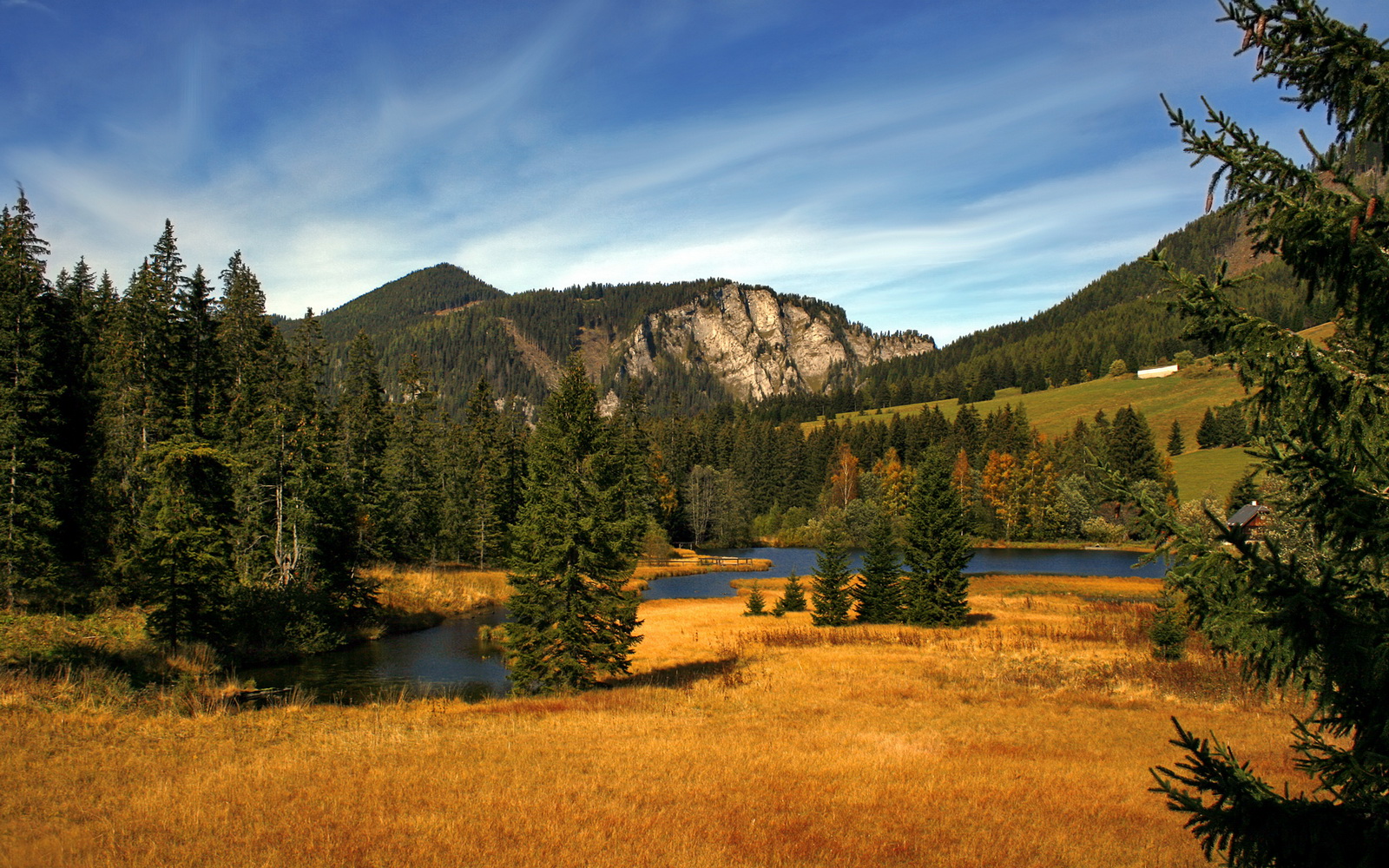 9游电竞资讯-升班马雷恩状态火热，冲击前列，马雷的实力